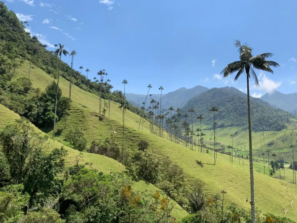 valle del cocora