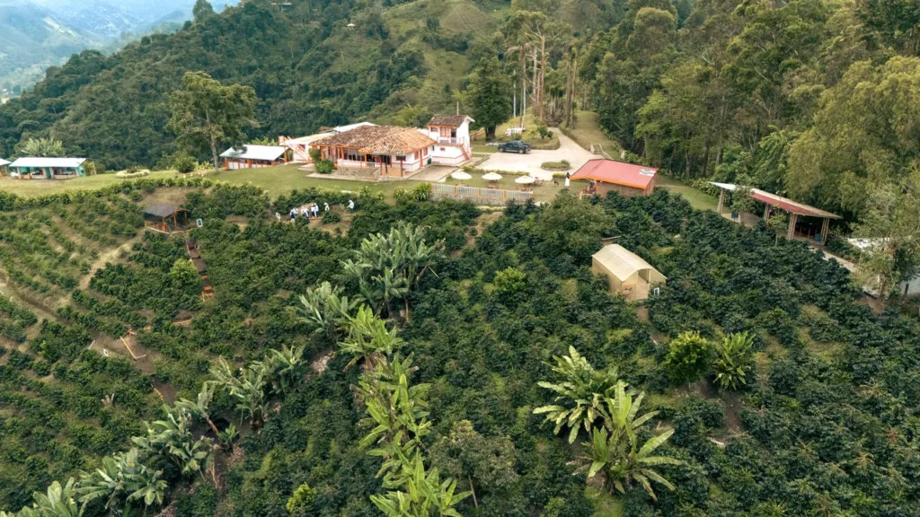 img 0040