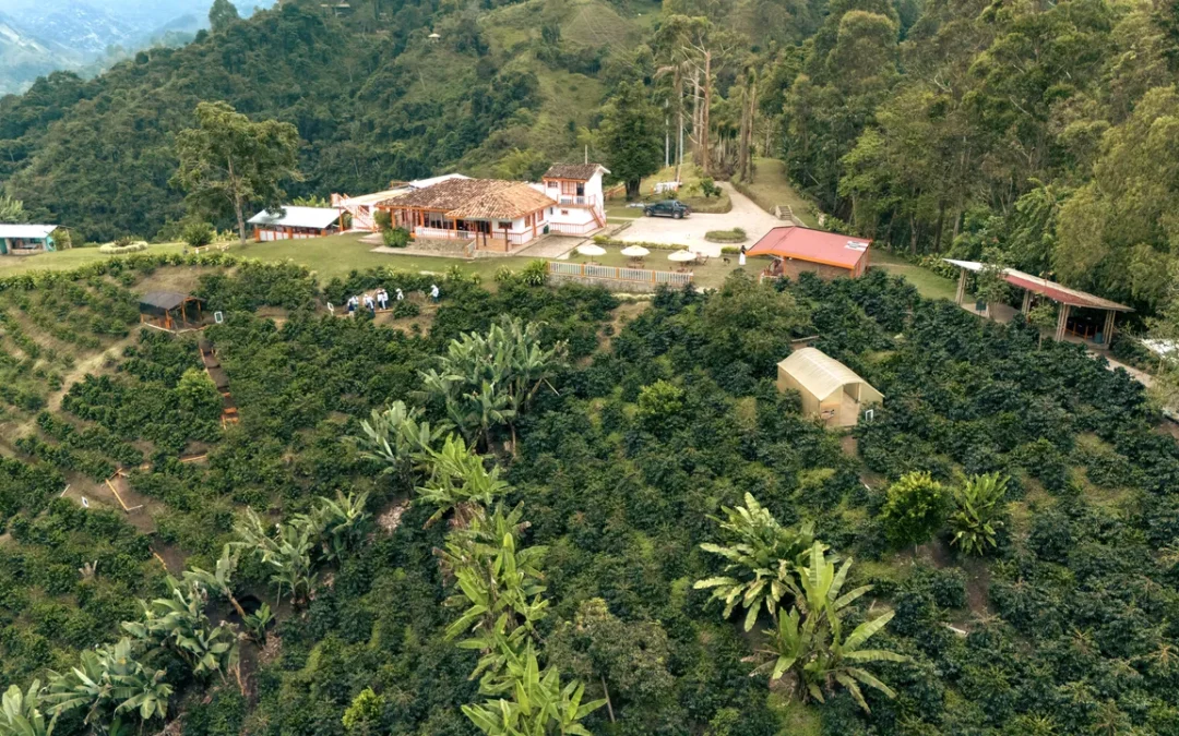 Turismo en el Eje Cafetero después del terremoto